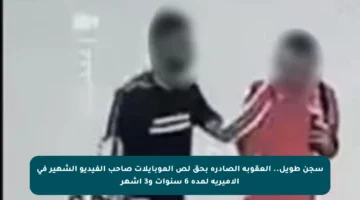 سجن طويل.. العقوبة الصادرة بحق لص الموبايلات صاحب الفيديو الشهير في الأميرية لمدة 6 سنوات و3 أشهر